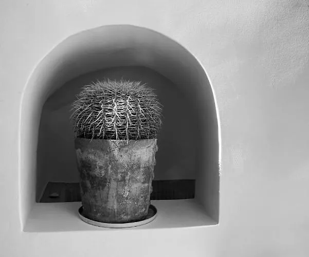 Villa Orpheus Santorini