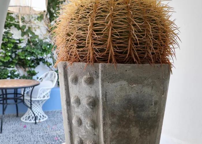 Orpheus Santorini Megalochori (Santorini)