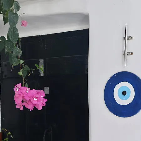 Orpheus Santorini *
