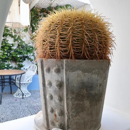 Orpheus Santorini ميغالوخوري